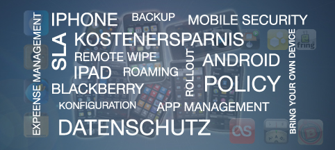 MSM Portal Bild